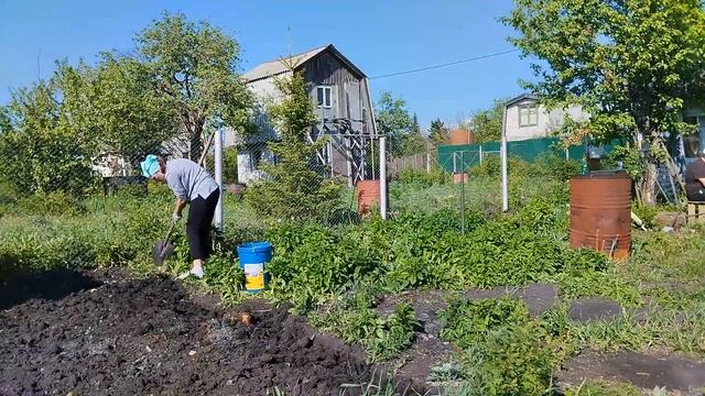 #18 Строим дачу мечты/ Как проходит наш день?/ Один день на нашей даче/ Внеплановый выпуск/ смотреть онлайн