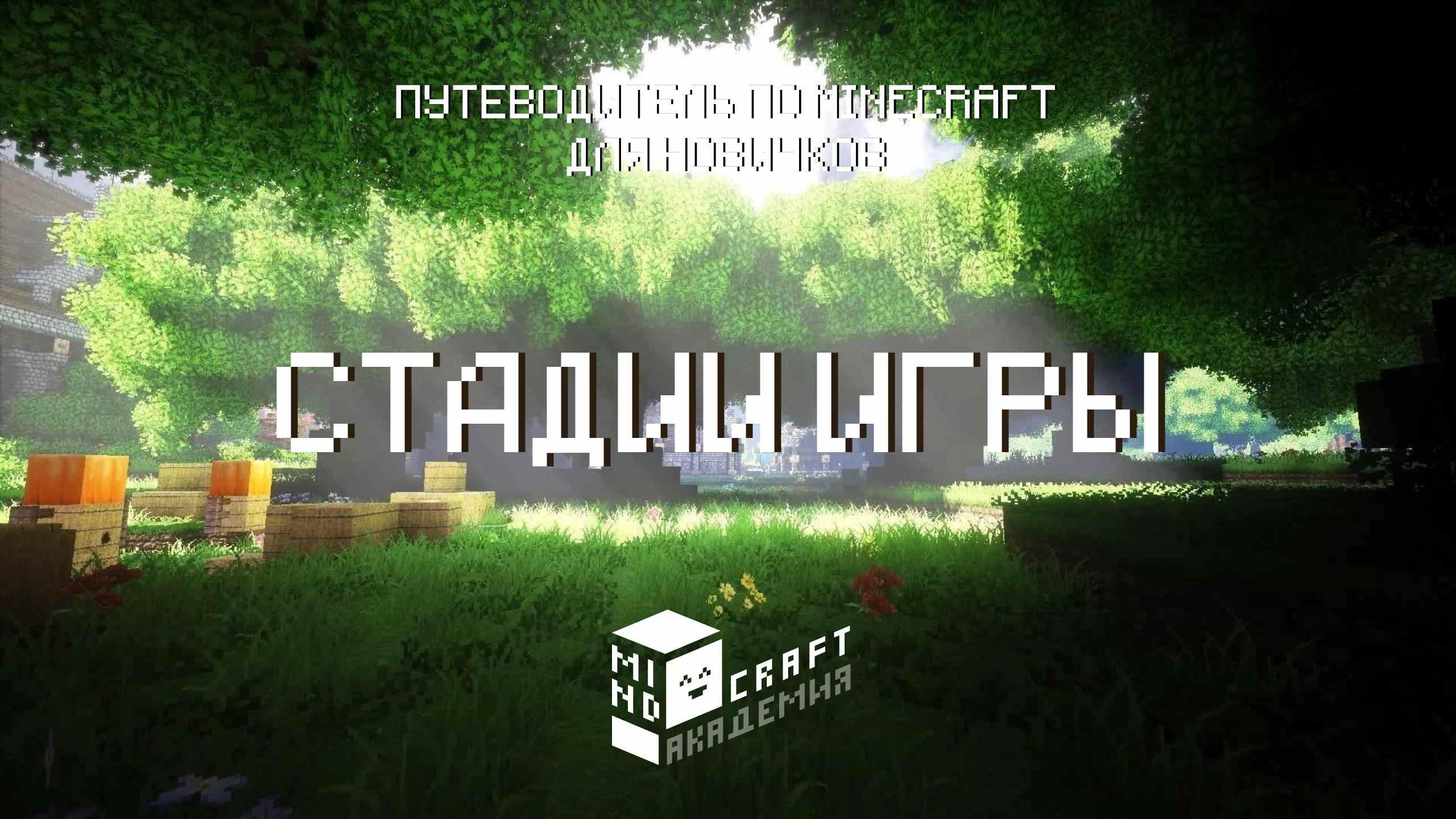 1 СТАДИИ ИГРЫ В MINECRAFT – КУРС ОТ MINDCRAFT АКАДЕМИИ