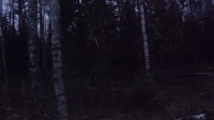 ДОБЫЛИ МЯСО НА ГОД.ОХОТА НА ЛОСЯ.ВОЛКИ РЯДОМ.ДОЛГОЖДАННЫЙ ТРОФЕЙ.1Ч.