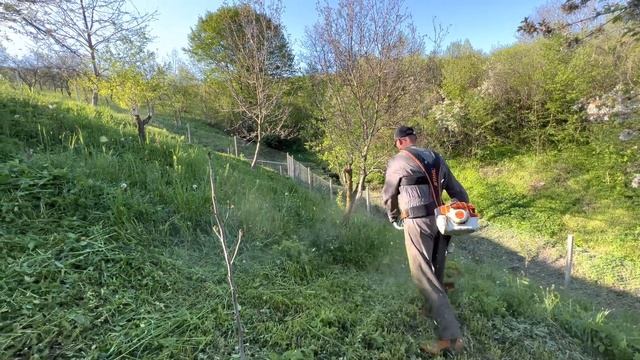 Cutting fresh grass with Stihl Fs 460-C with 3,3 mm trimmer line.(Motocoasa Stihl.) смотреть онлайн