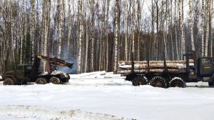 Урал Монстр вытаскивает Урал лесовоз из болота