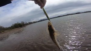 Google Maps Fishing Tips and Challenge. Flathead Fishing