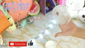 Новогодний декор рабочего стола