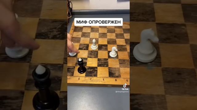 Как поставить мат КОНЁМ и СЛОНОМ на чёрное поле?! #шахматы #шахматыдлявсех #шахматныеловушки