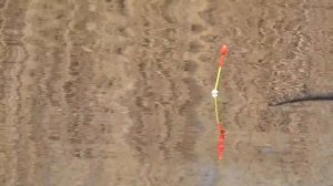 ЛОВЛЯ КАРАСЯ на ПОПЛАВОК Зимой. Рыбалка на карася на поплавок