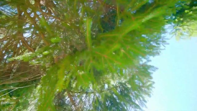 21-30. Джавшан аль-кабир (Сборник дуа) смотреть онлайн