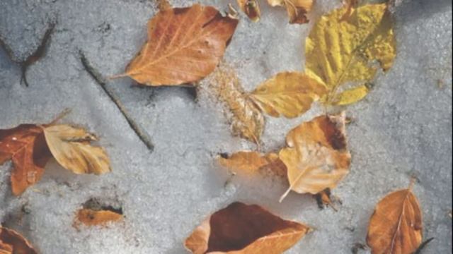 Отгуляла Осень. Стихи Марины Грин. смотреть онлайн