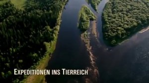 природа России все климатические зоны5