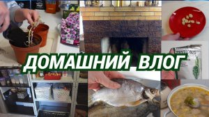 Влог/Готовлю суп с фрикадельками/Сажаю цветы/Вот такая фицифолия/Почистила камин@SubTatiana