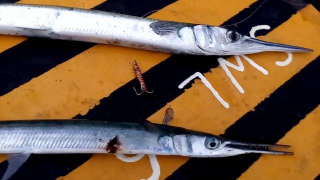 Рыбалка в Момбасе (Кения) на внутренем рейде - Fishing in Mombasa (Kenya) in the internal roadstead смотреть онлайн