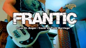 Metallica - Frantic but it's 23% more frantic / Cover by Todd Barriage