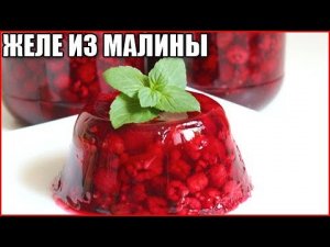 Желе из малины. Узнай простой и вкусный рецепт / как приготовить желе из малины
