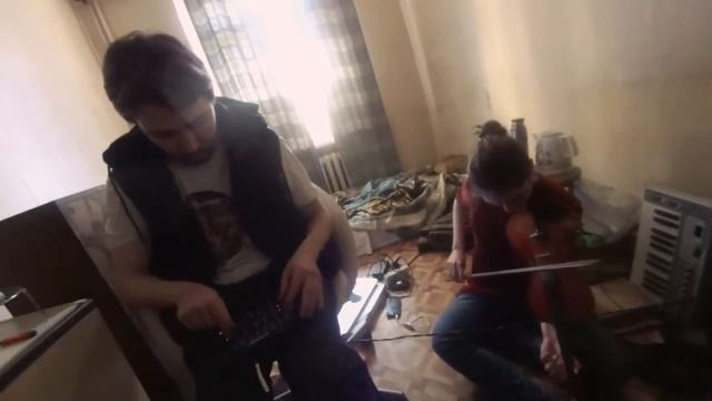 Лебедь и Кибернетика