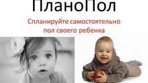 ПланоПол.ру - планируйте пол своего ребенка