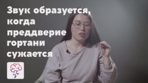 Что такое Твенк в вокале. Видеокурс Светланы Рябиновой. Приложение «Явкурсе»