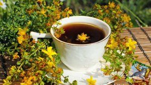 ЗВЕРОБОЙ ПРОДЫРЯВЛЕННЫЙ 5 (см. части 1, 2, 3, 4)