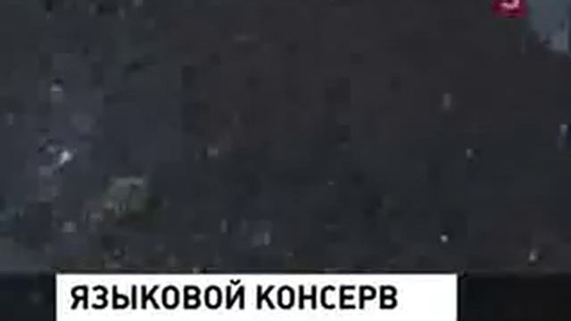 На Аляске  диалект русского языка