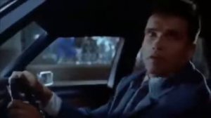 Хулиганы Шварценеггер Арнольд