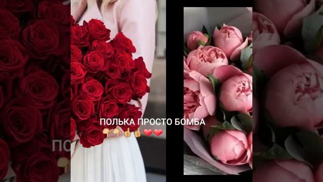 цыганская полька разганяйся смотреть онлайн