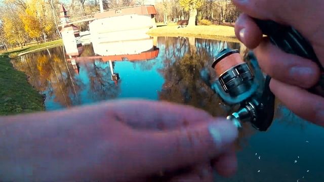 СТРИТФИШИНГ, секретное рыбное место в центре города Минска