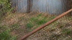 Зачем нужен рычаг, или как легко убрать кустарник с приусадебного участка