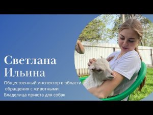 Светлана Ильина о Тихорецком приюте для собак