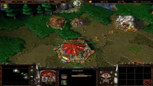 Warcraft 3 Reign of Chaos. Компания Орды.