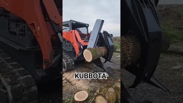 YouCut_20231129_150402678.mp4