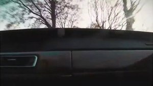 Душа моя, Душа моя ещё жива!