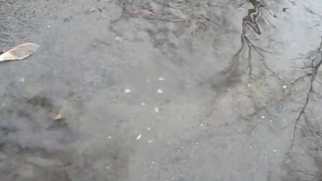 Формирование аллювиальных россыпей ч.5 смотреть онлайн