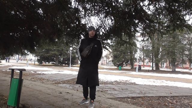 инсульт..главный и эфективный треножор это движение. смотреть онлайн