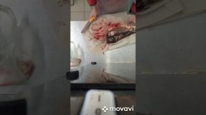 Карп зеркальный на стейки.