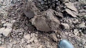 Первая вылазка на коп с FROGMAN T90. Китайский металлоискатель аналог X-TERRA 705