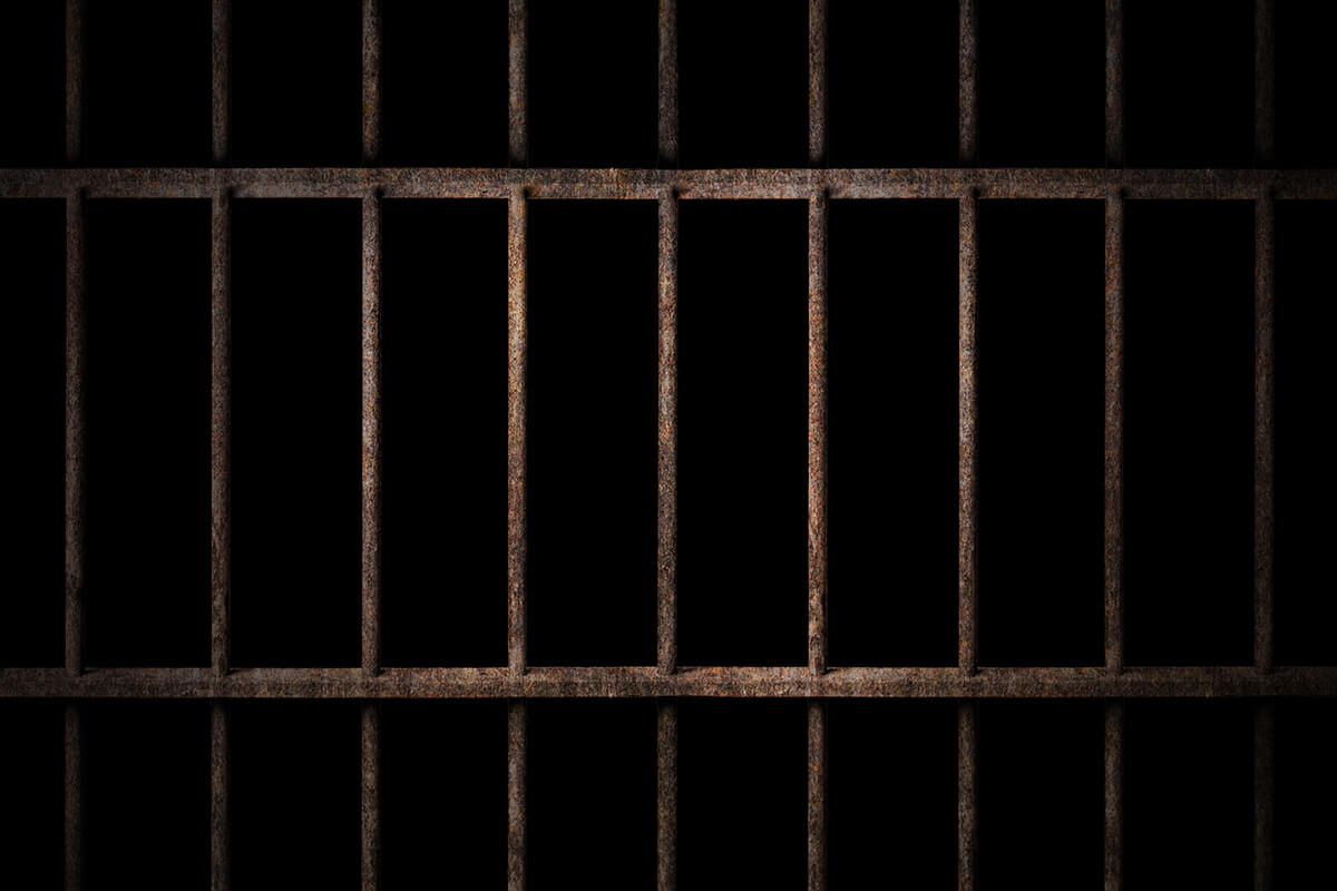 тюремная решетка раст (120) фото
