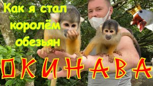 Окинава. Остров Такетоми. Япония. Тропический рай. (Часть 2)