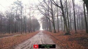 Багомед Раджабов- Аман Аман