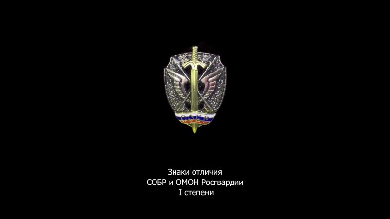 В Росгвардии учреждён Знак отличия СОБР и ОМОН I степени