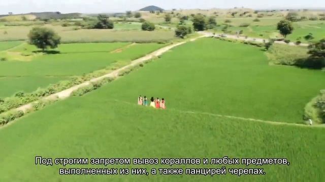 О Мальдивах: где находится, какие море и океан омывают острова, валюта страны