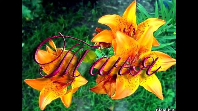 С ДНЁМ РОЖДЕНИЯ ТАША!!! смотреть онлайн