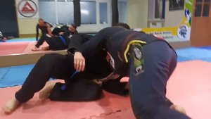 НЮАНСЫ "ГИЛЬОТИНЫ". С использованием ГИ.