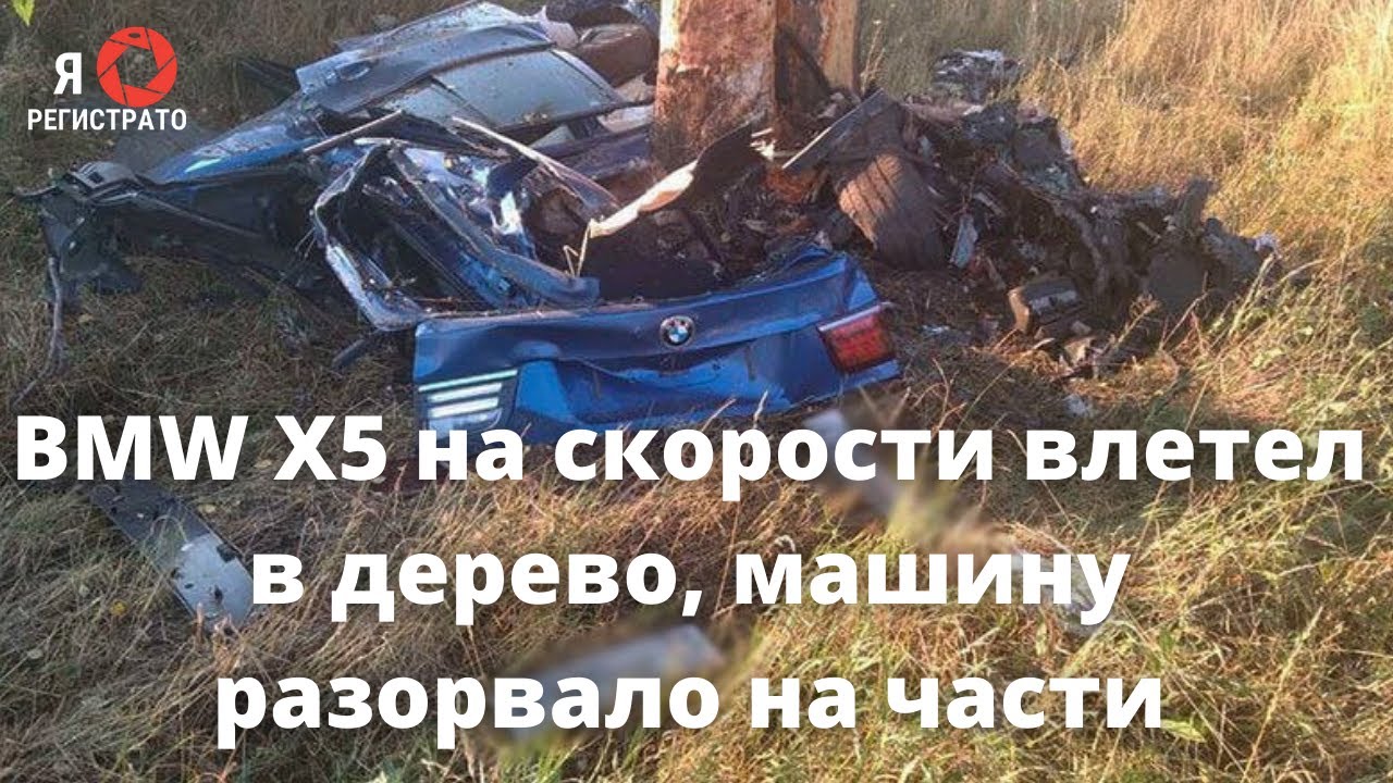 BMW X5 на скорости влетел в дерево, три человека погибли в Белгородской области