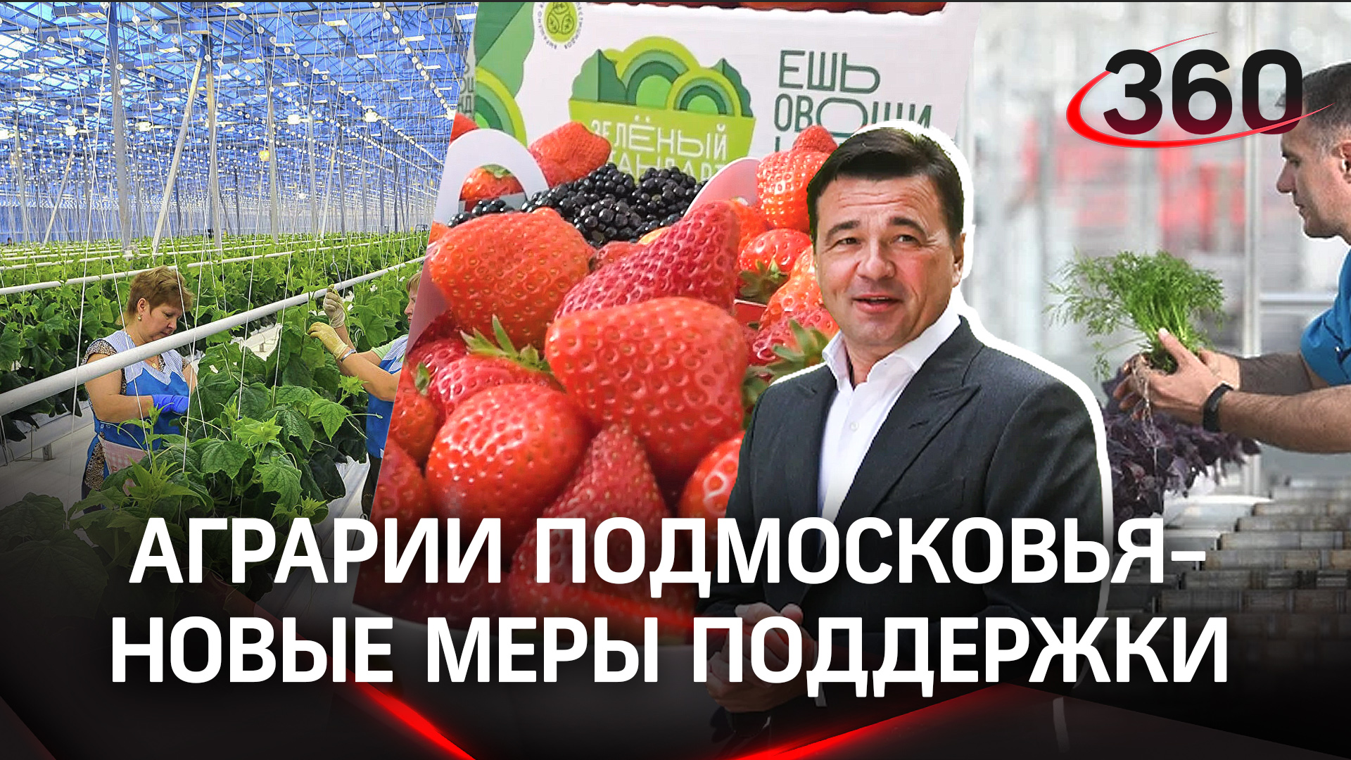 Семена и племенные яйца: жизнь аграриев в новых экономических реалиях
