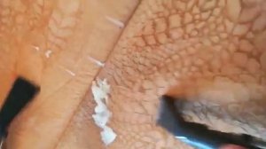 Удаление пятен вина с дивана