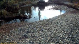 По горным рекам Северного Урала на аэролодках "Берег".