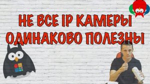 Не все IP камеры одинаково полезны