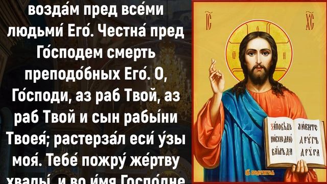НЕ ЗАБУДЬ СКАЗАТЬ СПАСИБО БОГУ ПРЯМО СЕЙЧАС. Иисусова молитва. Молитва ко Господу нашему