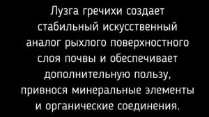 Лузга гречихи для огорода Барнаул