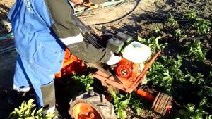 Окучивание картофеля мотоблоком с дисковыми окучниками