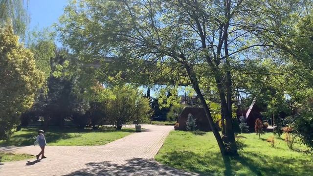 СОЧИ сегодня /ХОСТА / наконец солнечный денек смотреть онлайн