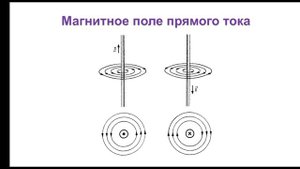 Физика. 10 класс. Магнитное поле